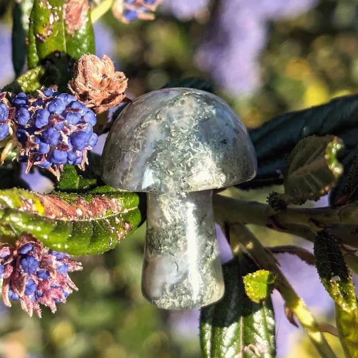 Crystal mushroom