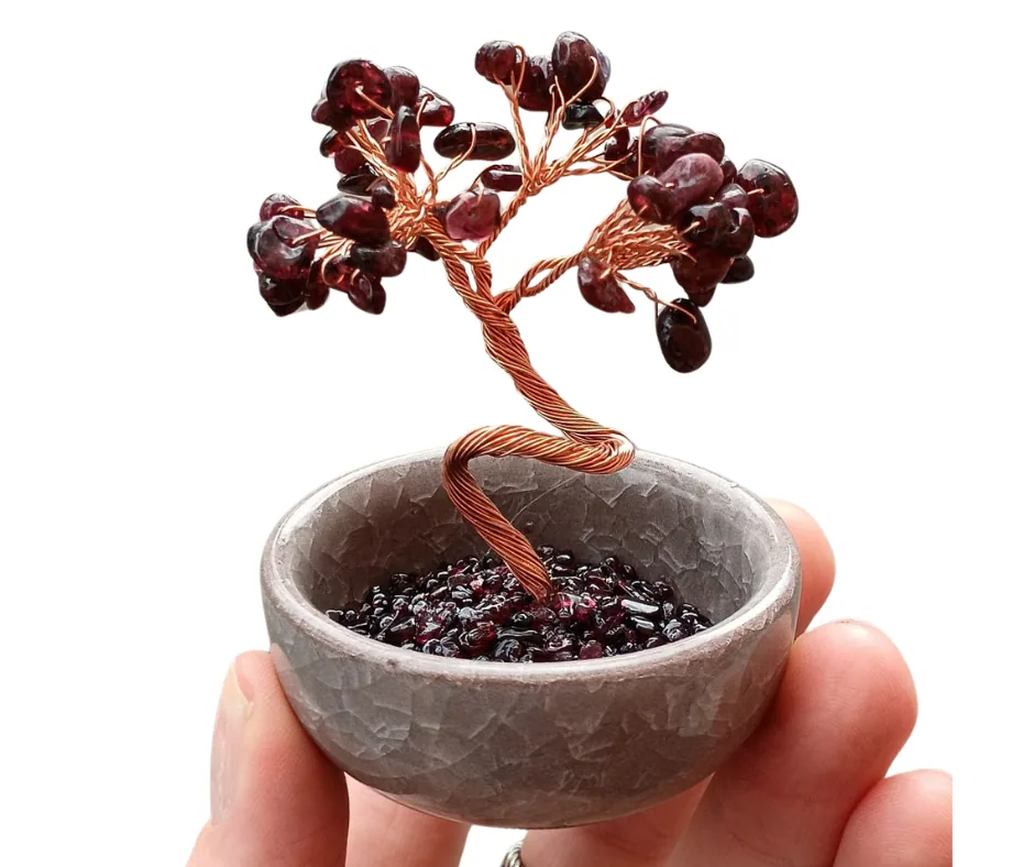 Large Tree in Terracotta Pot