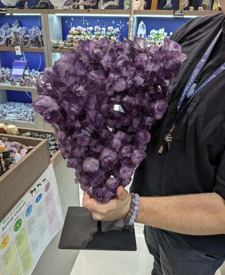 XL Amethyst Cluster
