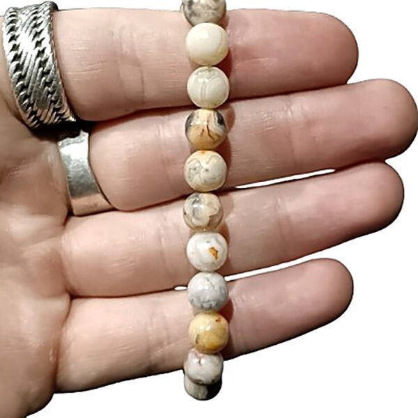 Crazy Lace Agate 8mm bead bracelet