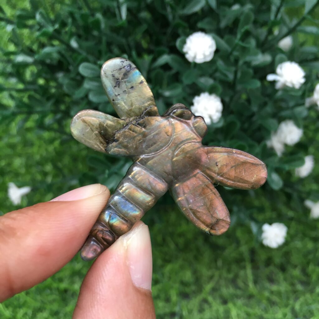 Labradorite Dragonfly Crystal Carving