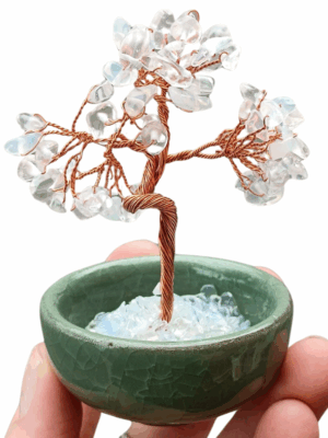 Large Crystal Tree in Terracotta Glazed Pot · Opalite