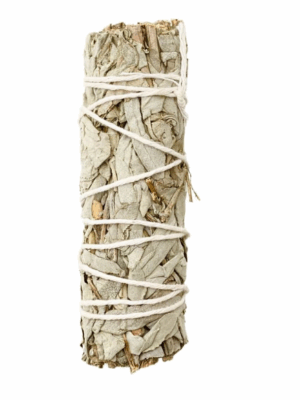 4" White Sage Smudge Stick