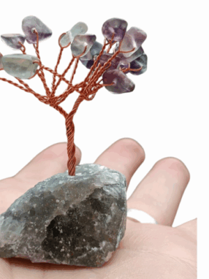 Mini Crystal Tree · Fluorite