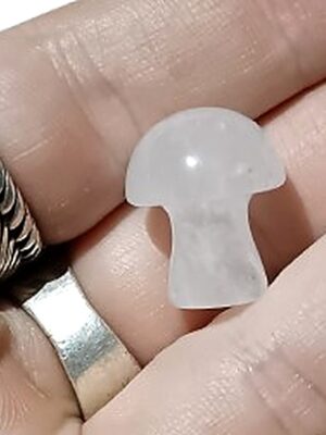 Mini Crystal Mushroom · Clear Quartz