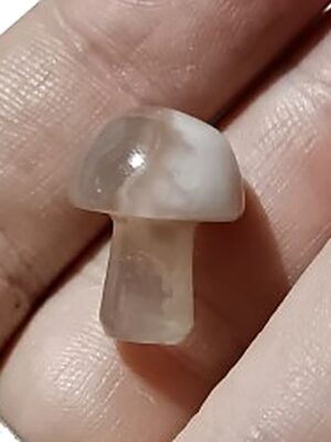 Mini Crystal Mushroom · Flower agate