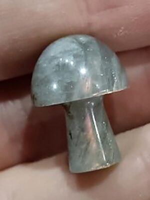 Mini Crystal Mushroom · Labradorite