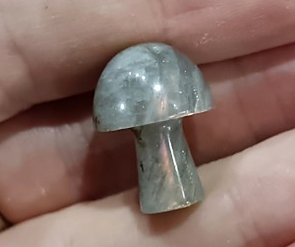 Mini Crystal Mushroom · Labradorite