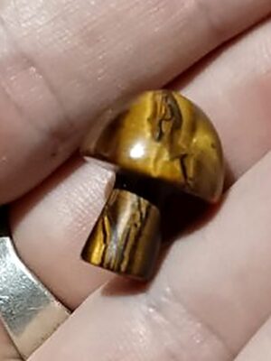 Mini Crystal Mushroom · Tiger's eye