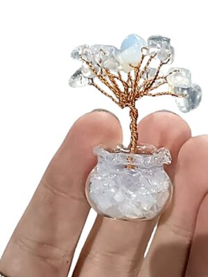Mini Crystal Tree in Glass Pot · Opalite