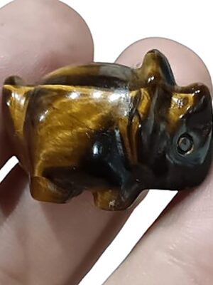 Mini Crystal Triceratops · Tiger's eye