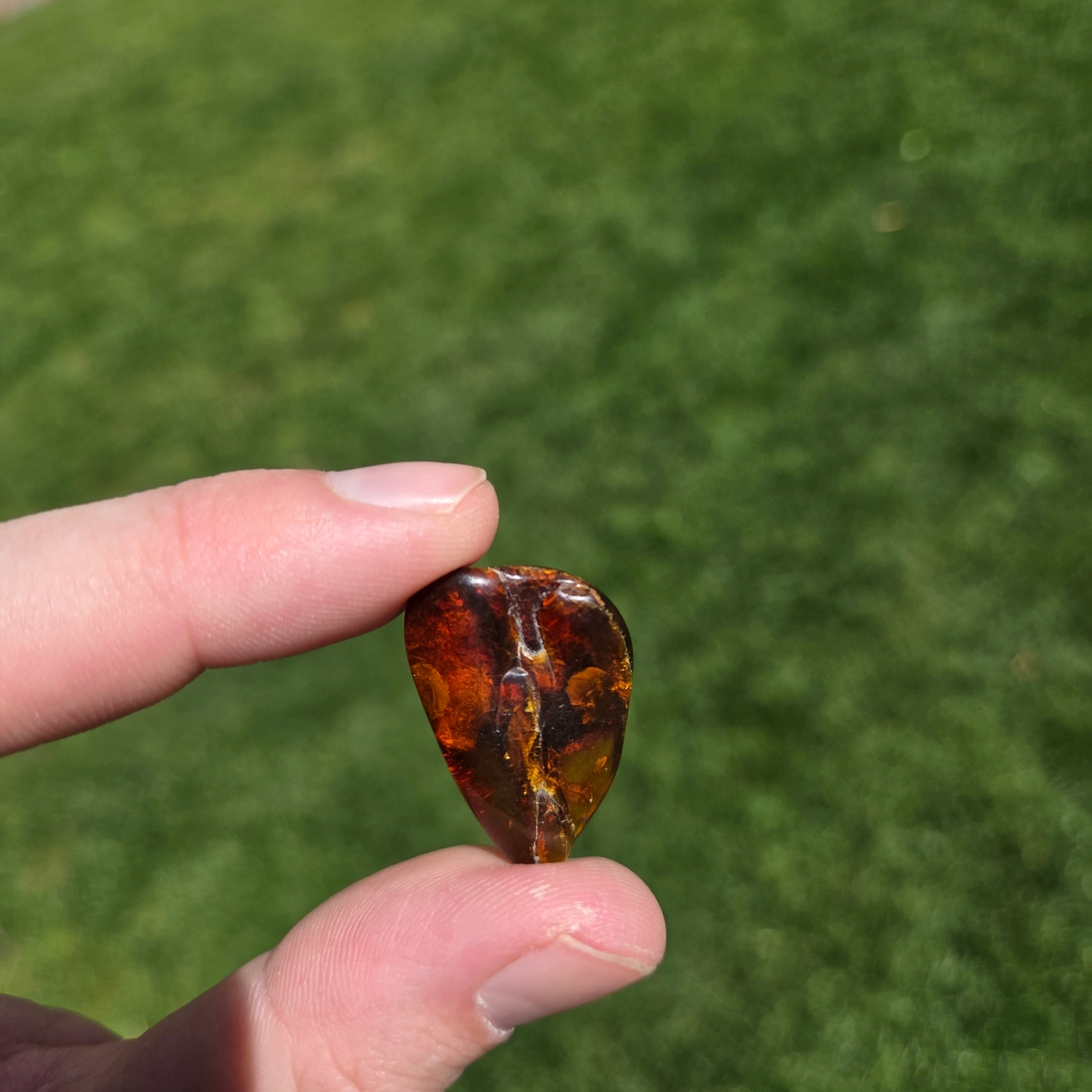 Amber2
