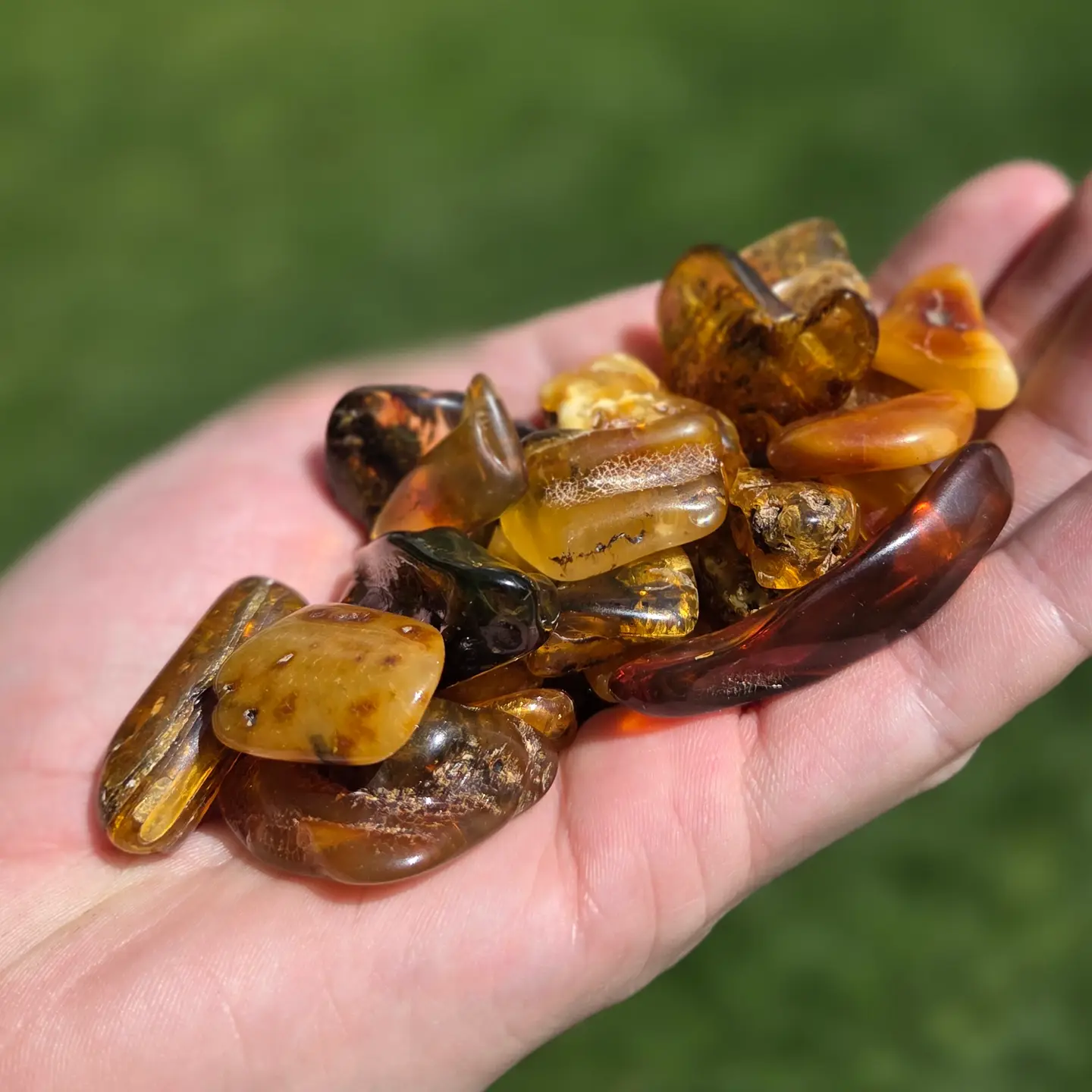 Amber3