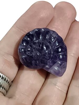 Ammonite Carving · Amethyst