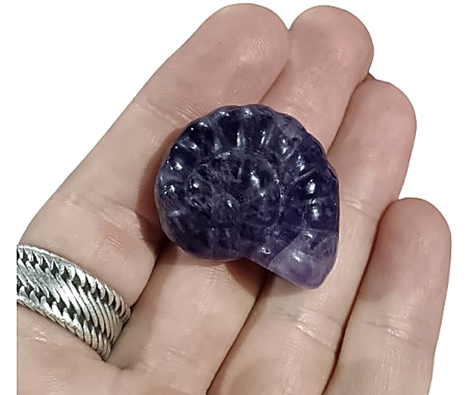 Ammonite Carving · Amethyst