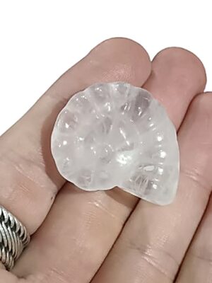 Ammonite Carving · Clear Quartz
