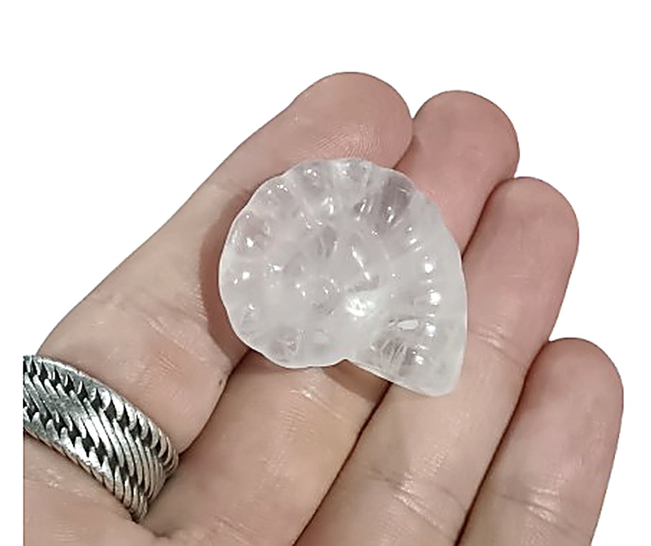 Ammonite Carving · Clear Quartz