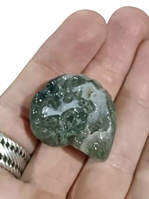 Ammonite Carving · Moss Agate