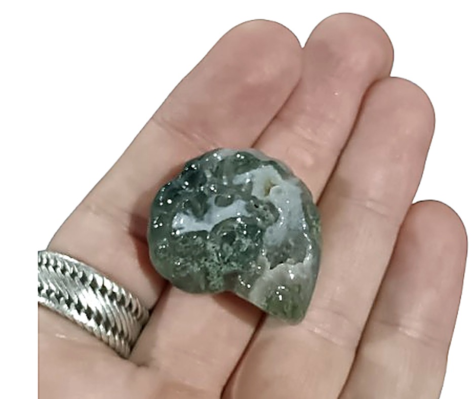Ammonite Carving · Moss Agate