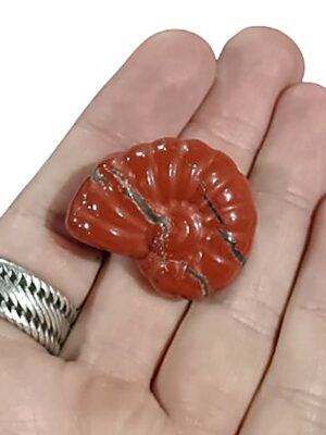 Ammonite Carving · Red Jasper