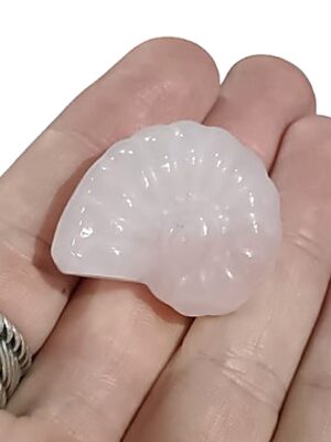 Ammonite Carving · Rose Quartz