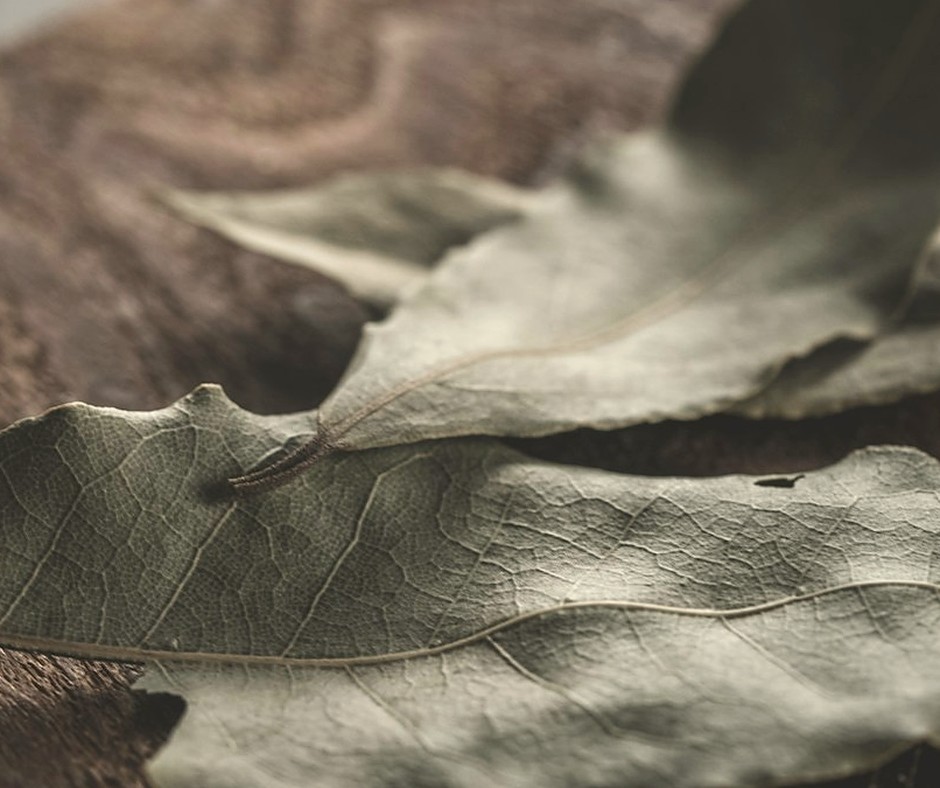 Bay Leaf (One Leaf)