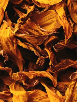 Potion Herb Bags · Calendula