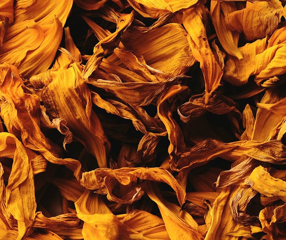 Calendula