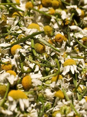 Potion Herb Bags · Chamomile