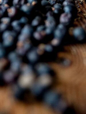 Potion Herb Bags · Juniper berries