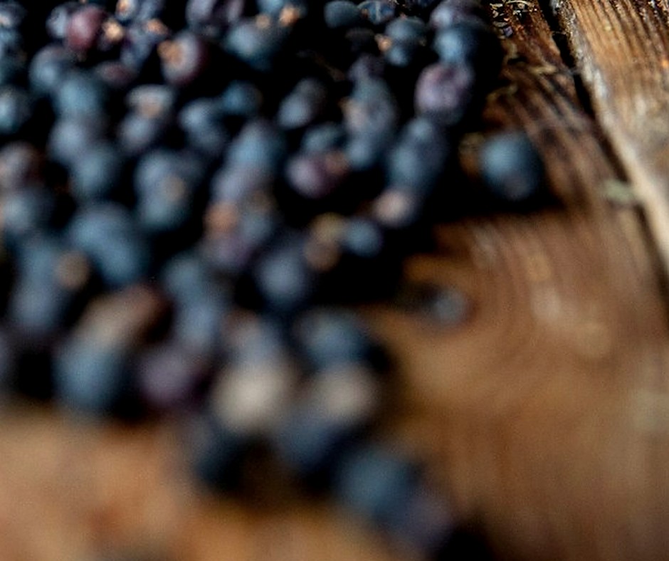 Juniper Berries