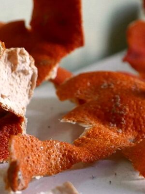 Potion Herb Bags · Orange peel