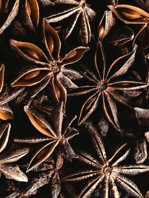 Potion Herb Bags · Star anise