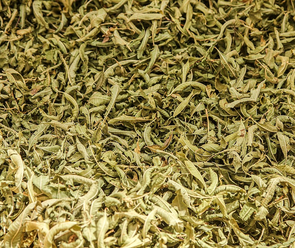 Thyme
