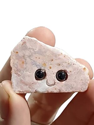 Random Pet Rock