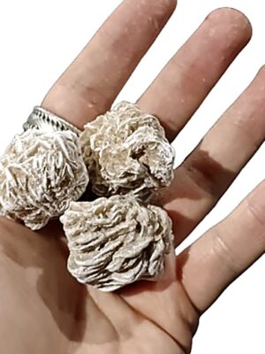 Desert Sand Rose