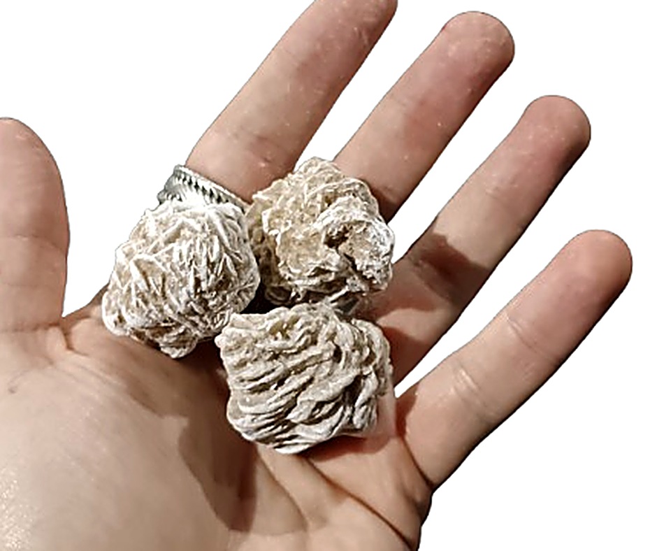 Desert Sand Rose