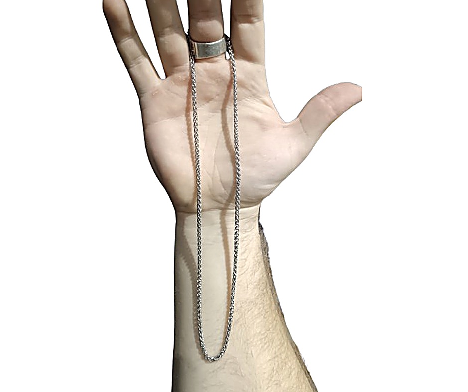 Snake Bone Chain